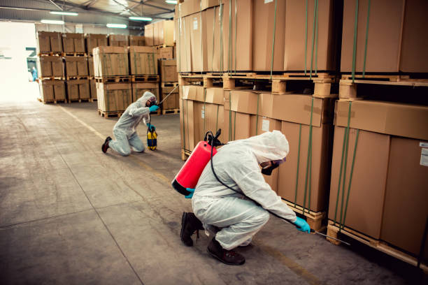 Best Residential Pest Control  in Thorsby, AL