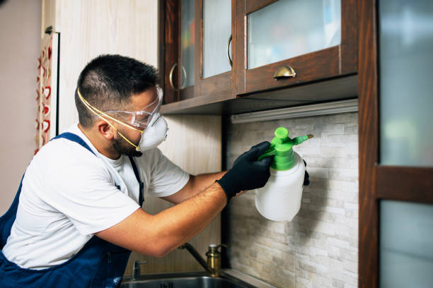 Best Wasp Removal Services  in Thorsby, AL