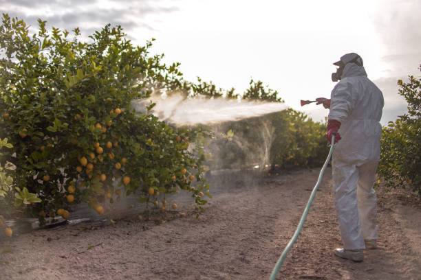 Best Pest Control Near Me  in Thorsby, AL