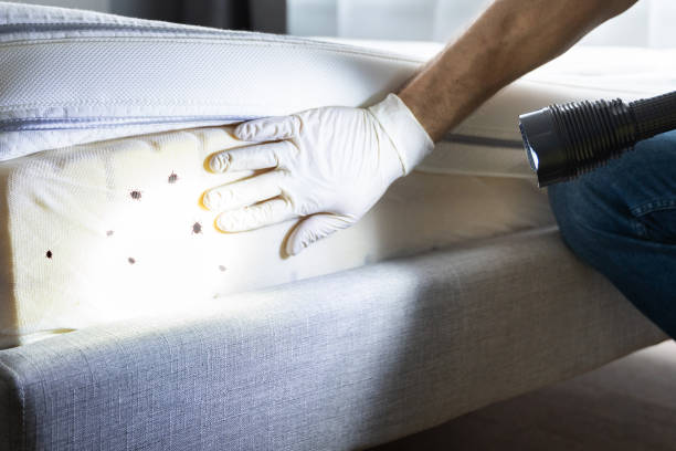 Best Affordable Pest Control Services  in Thorsby, AL