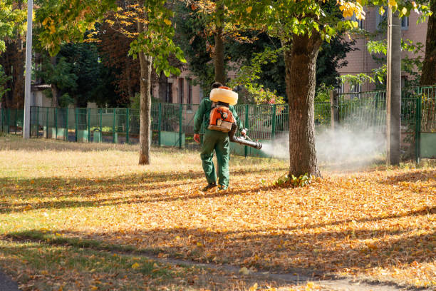 Best Best Pest Control Companies  in Thorsby, AL