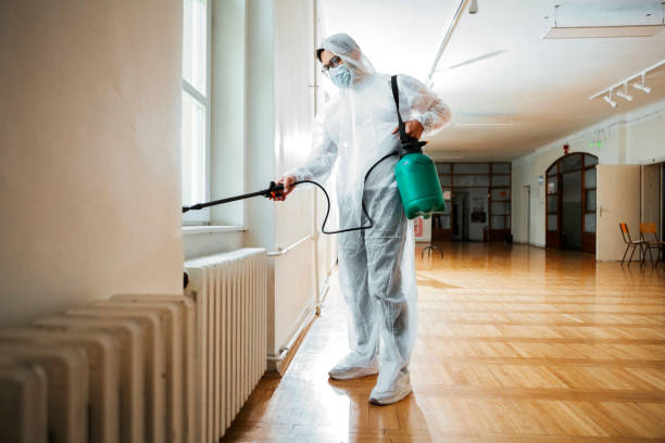 Best Rat Extermination Near Me  in Thorsby, AL
