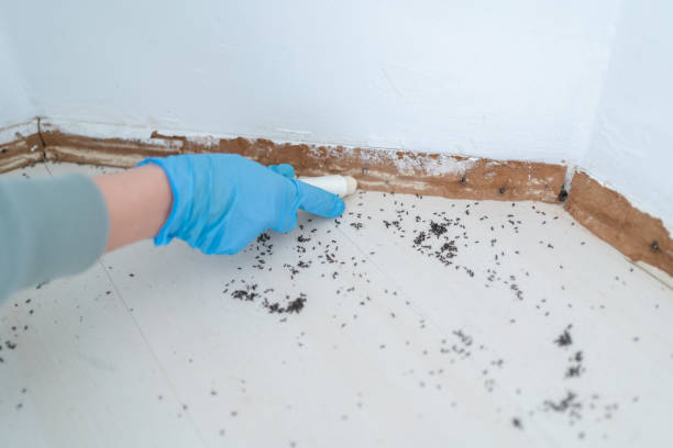 Best Commercial Pest Control Services  in Thorsby, AL