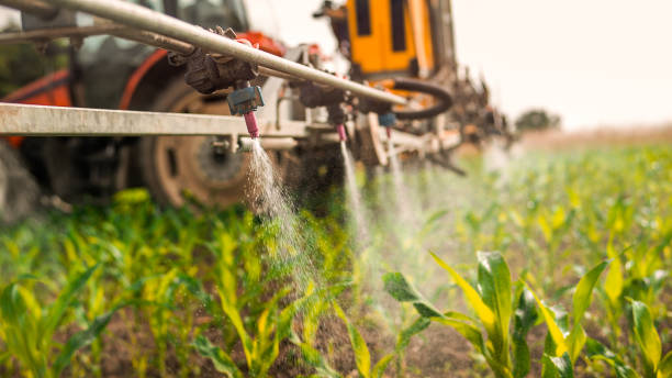 Best Local Pest Control Services  in Thorsby, AL
