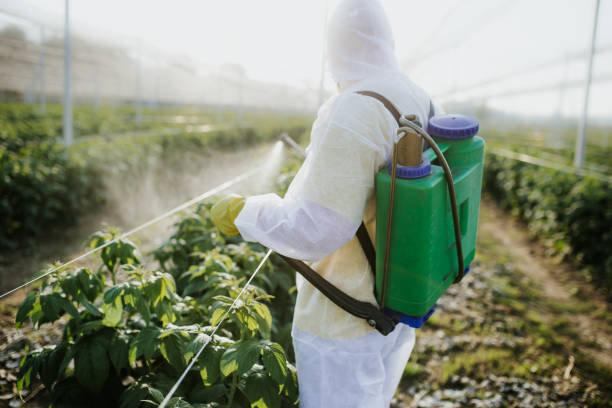 Best Affordable Pest Control Services  in Thorsby, AL